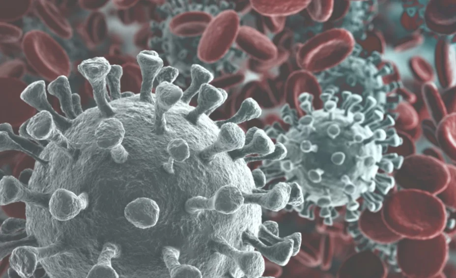 Evenement afgelast wegens corona: de juridische gevolgen en mogelijkheden